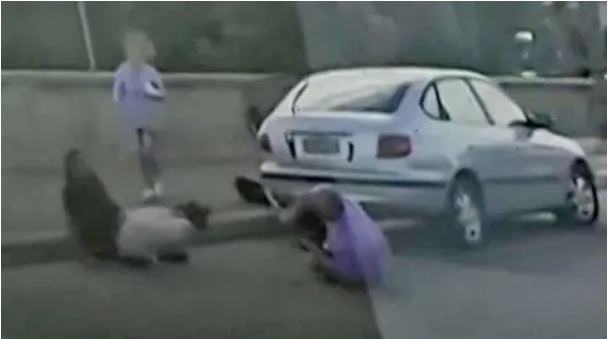 Bondi attack: Video shows couple trying to stop gunman