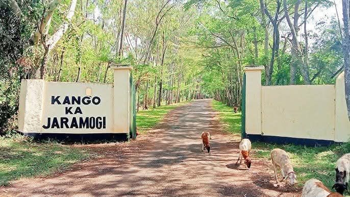 Why we're burying Beryl in Bondo - Oburu