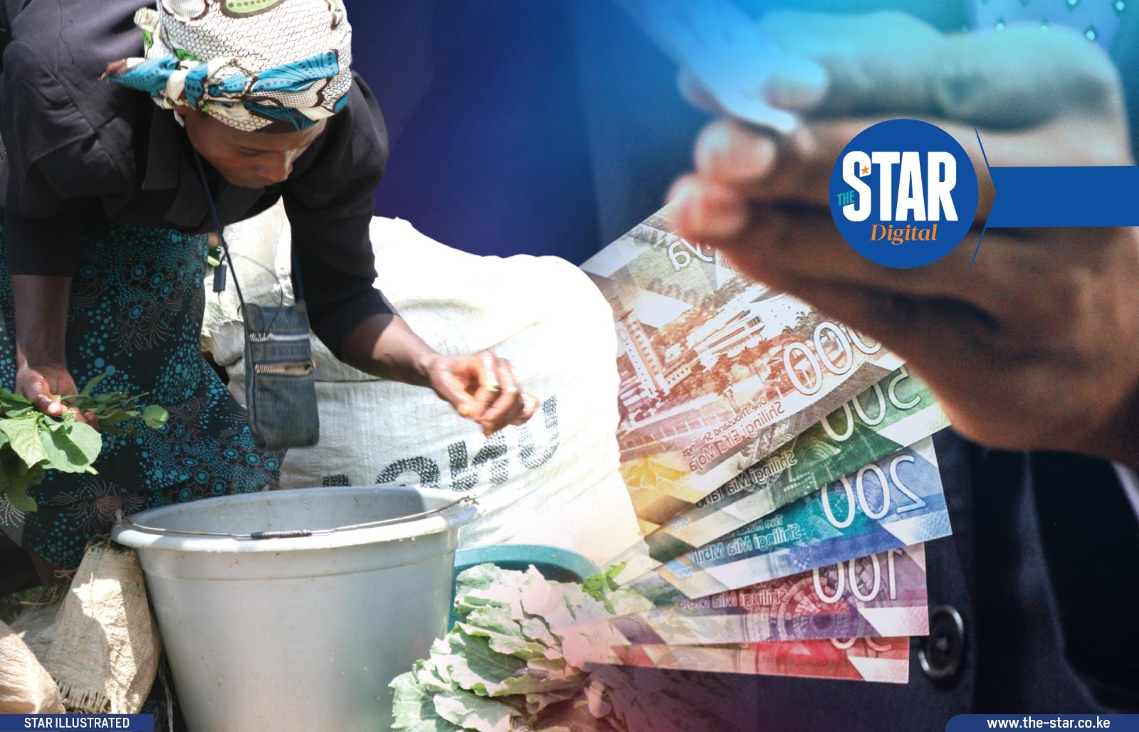 MSME economy: Hustler Fund in numbers