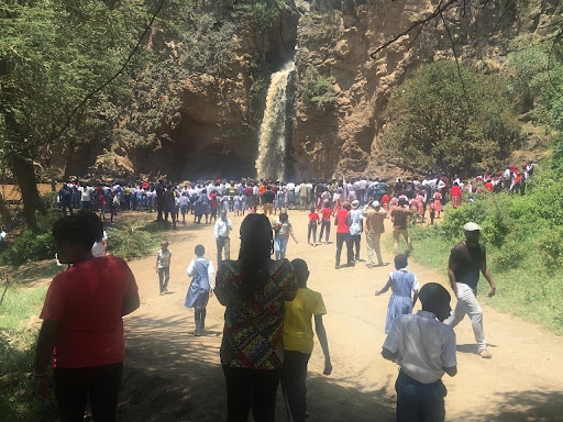 Free park entry: At least 83K Kenyans turn up for open day