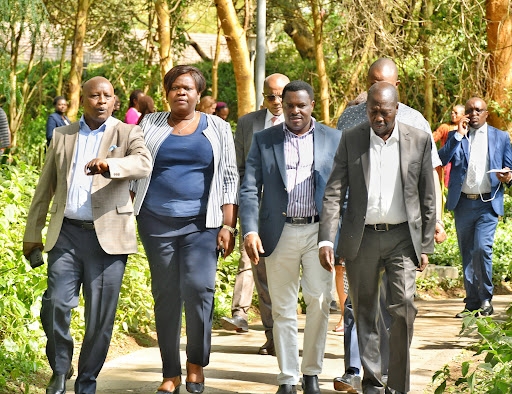 Spotlight as Senate hears 19 impeachments in 12 years