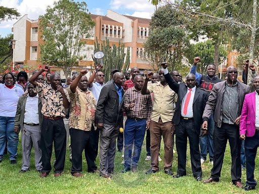 WANJAWA: Dignity of professoriate at a crossroads: Examining lecturers’ strike