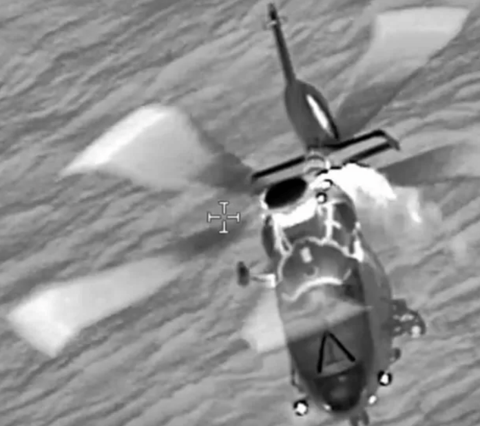 Woman dies after cruise ship overboard alert