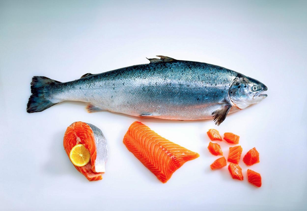 Pioneer salmon farming spurs luxury fish exports