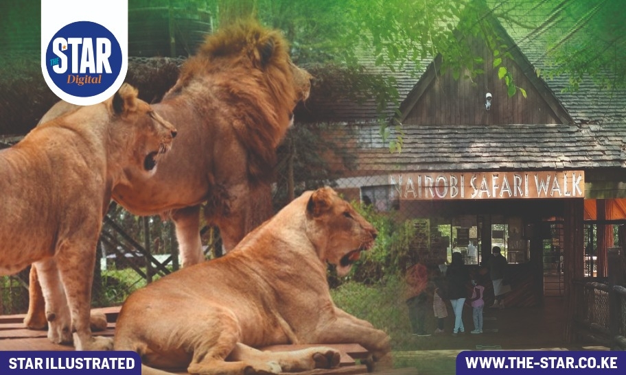 Know Kenya: Nairobi Safari Walk