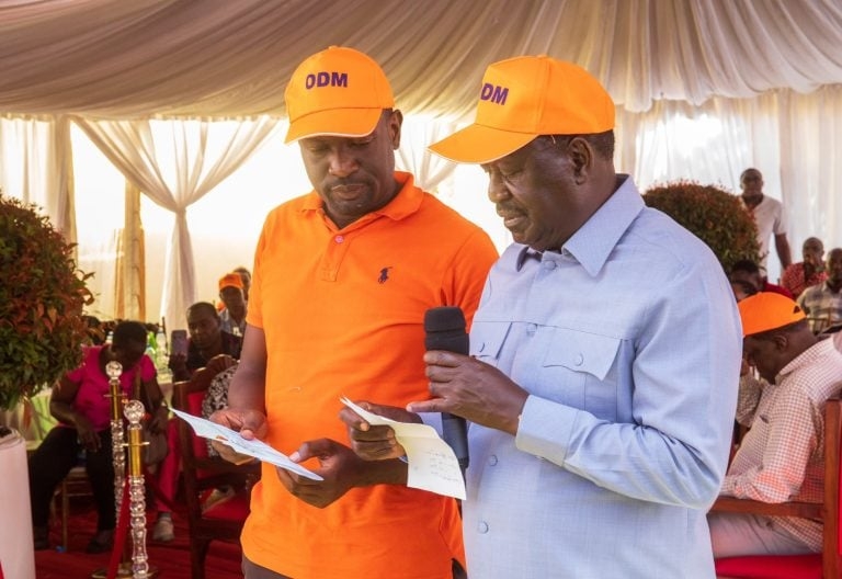 ODM hails county delegates polls a success