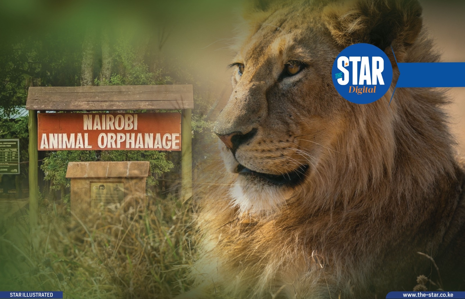 Know Kenya: Nairobi Animal Orphanage