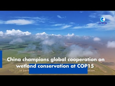 China champions global cooperation on wetland conservation at COP15