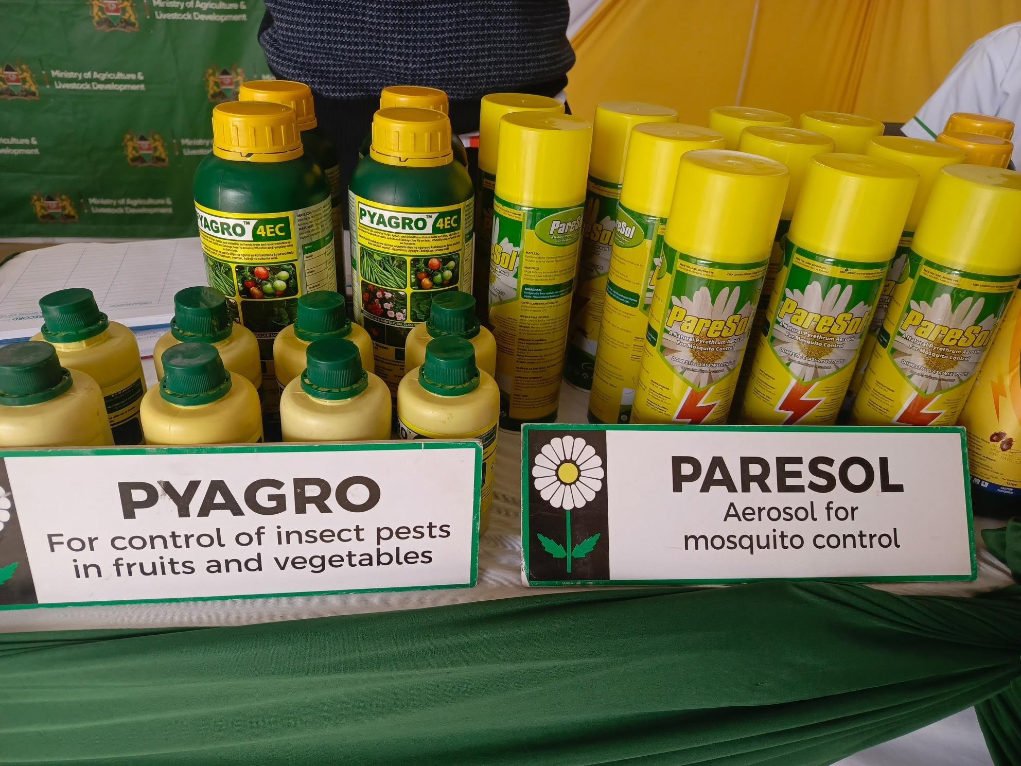 Pyrethrum makes a comeback, provides eco-friendly pest control products
