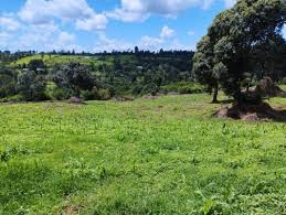 What you need to know about new land laws signed by Ruto