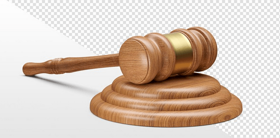 Court blocks farmer’s Sh9.4m suit against KWS over Elephant damage