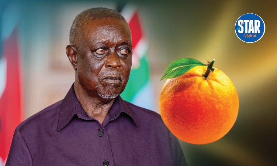 Raila succession: Who will be next king of Nyanza?