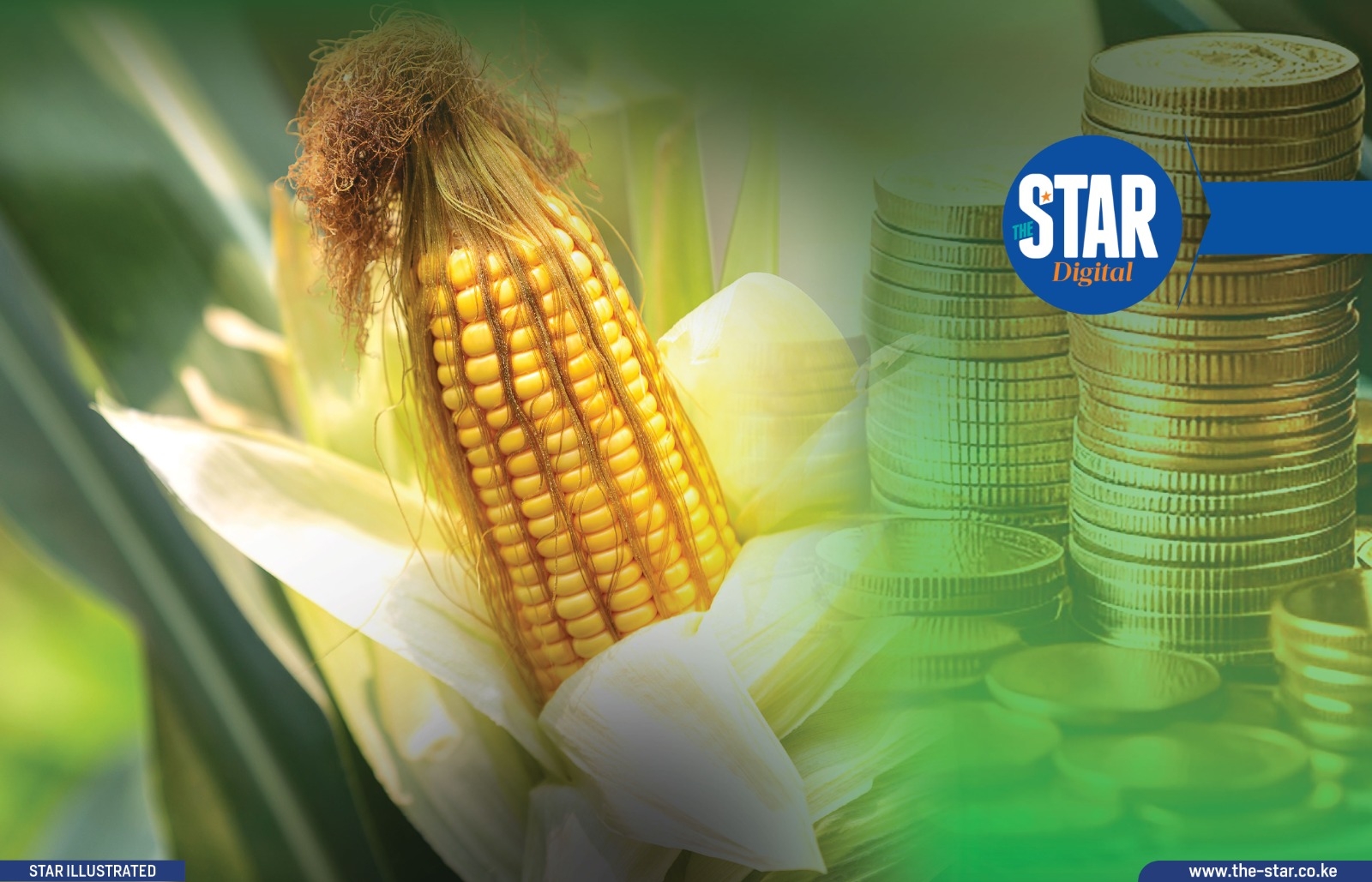 National average price spreads for Maize: July & August 2025