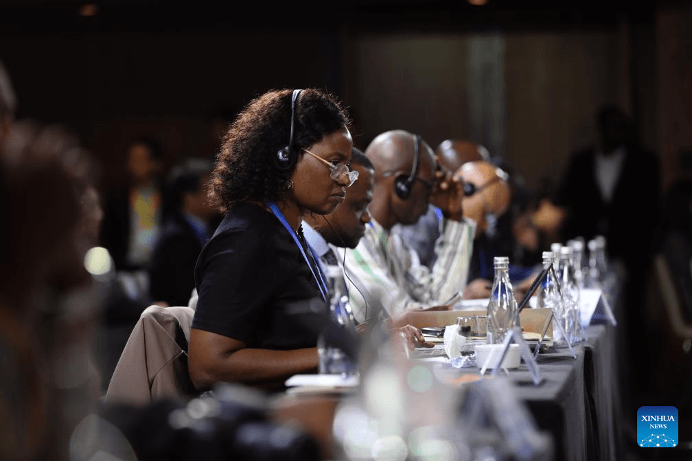 China-Africa Partnership Conference highlights cooperation toward shared global governance