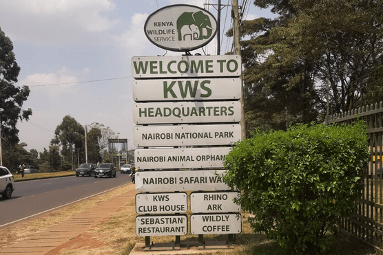 KWS debunks claims Ritz-Carlton camp blocks Maasai Mara wildebeest migration