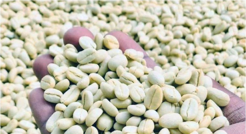 K'ONYANGO: Value addition can turn Africa’s resources into prosperity