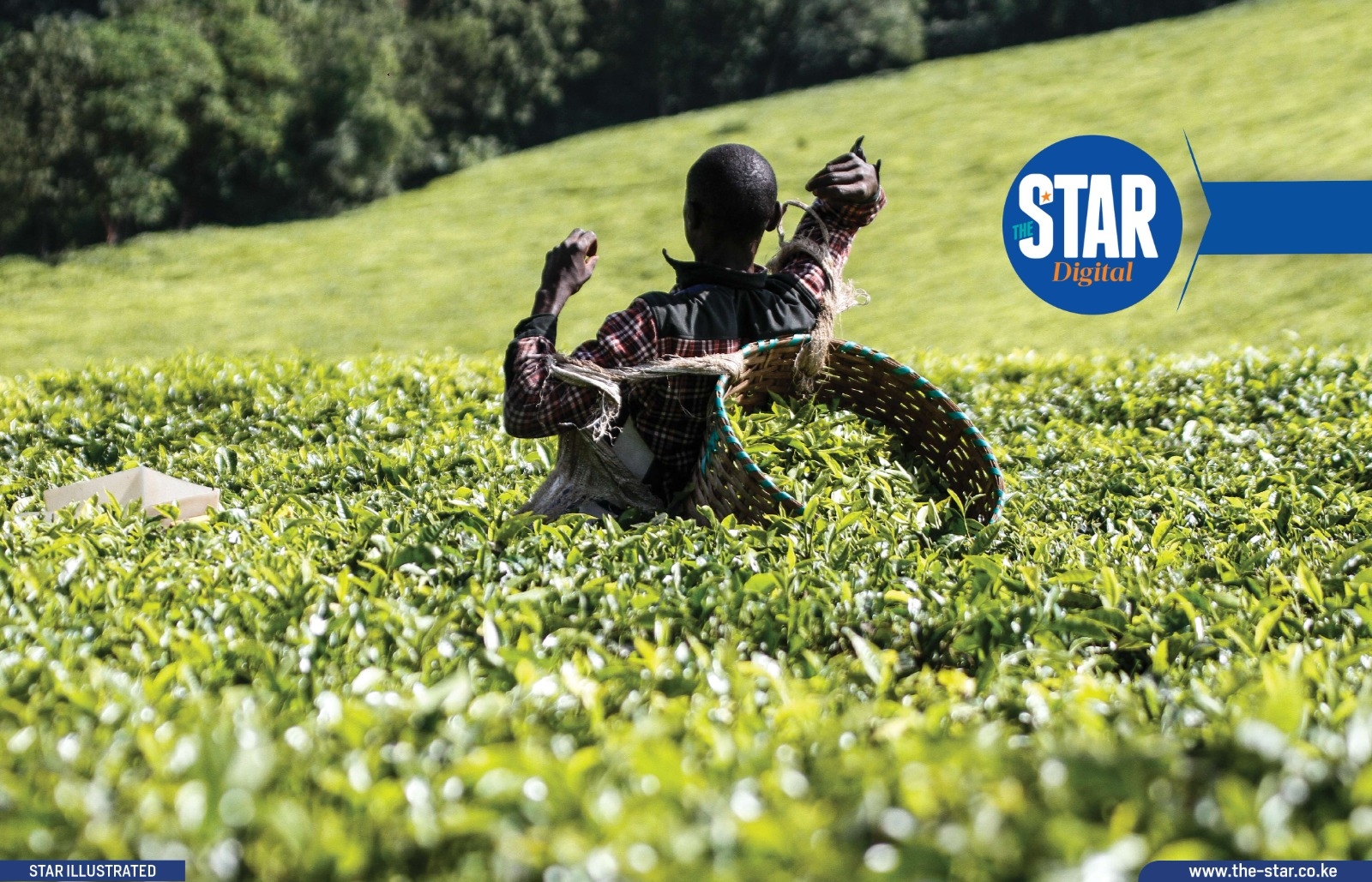 Top performing sectors in Murang'a County