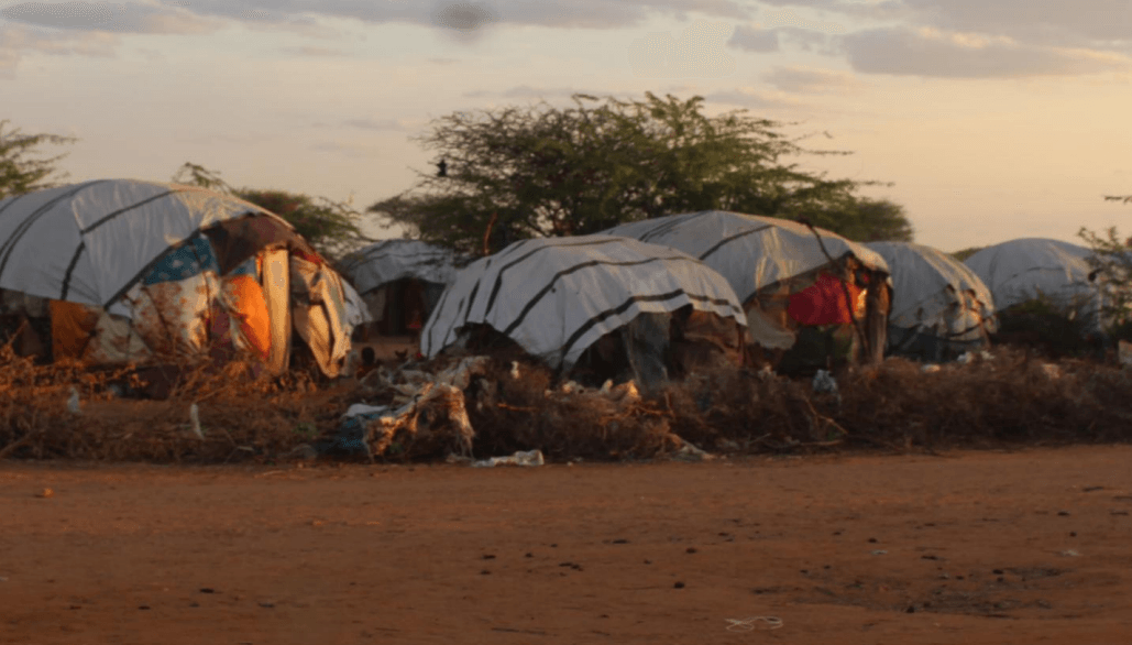 Amnesty faults global inaction on Somalia drought