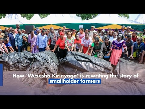 Waiguru How ‘Wezesha Kirinyaga’ is rewriting the story of smallholder farmers