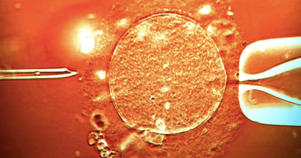 Sperm from donor with cancer-causing gene used to conceive 200 children