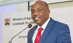 KTDA directors serving in companies linked to agency to quit