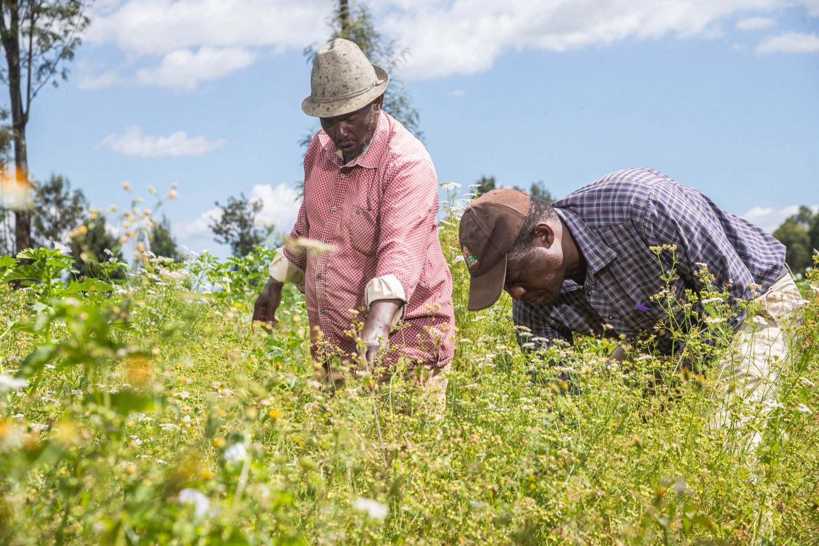 New bill on raw materials, jobs sparks anxiety