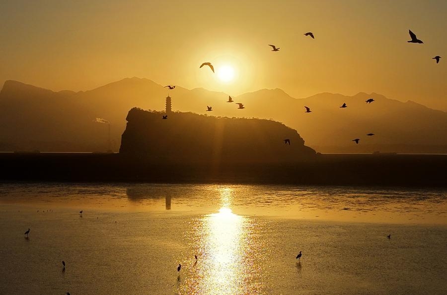 China's largest freshwater lake shrinks by 90%