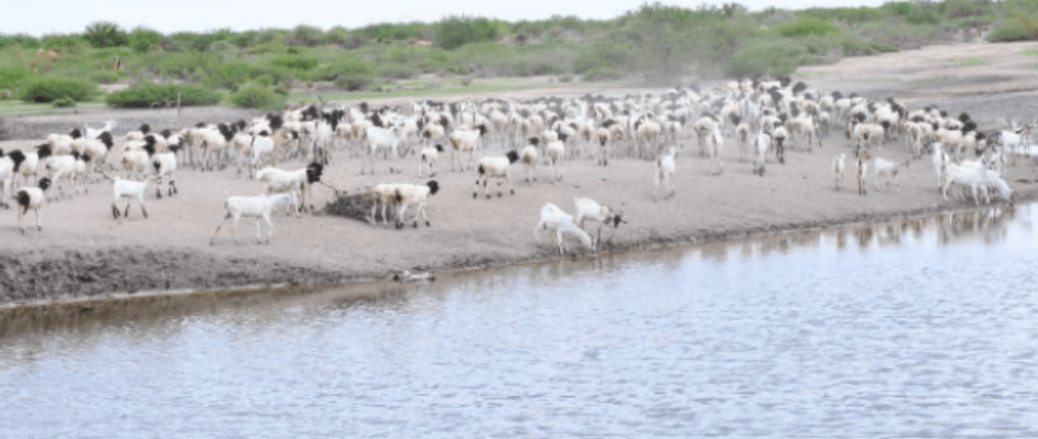 EU donates Sh37m to combat severe drought and flooding