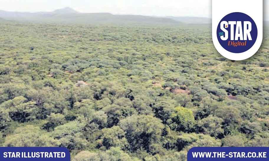 Status of land fraud in Kenya