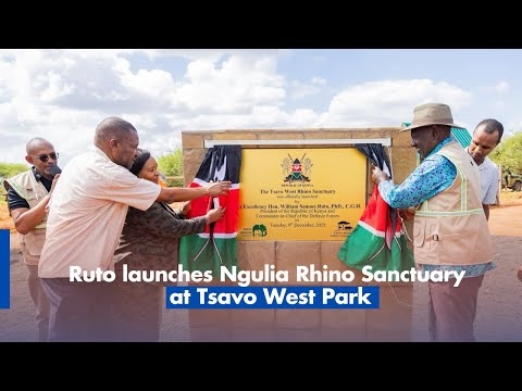 Ruto launches Ngulia Rhino Sanctuary at Tsavo West Park
